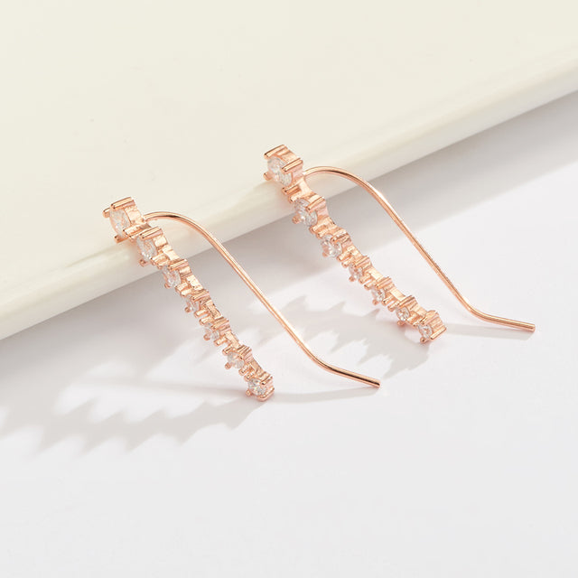 Sterling Silver 925 Earrings with Sparkling Zircon | Glamour
