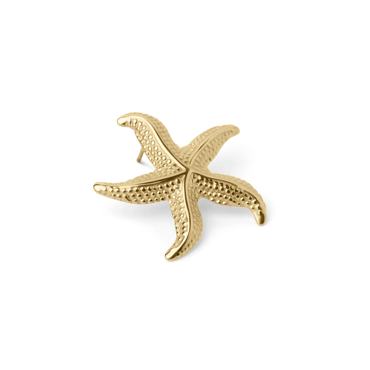 Briana - Boucles d'oreilles en forme d'étoile de mer