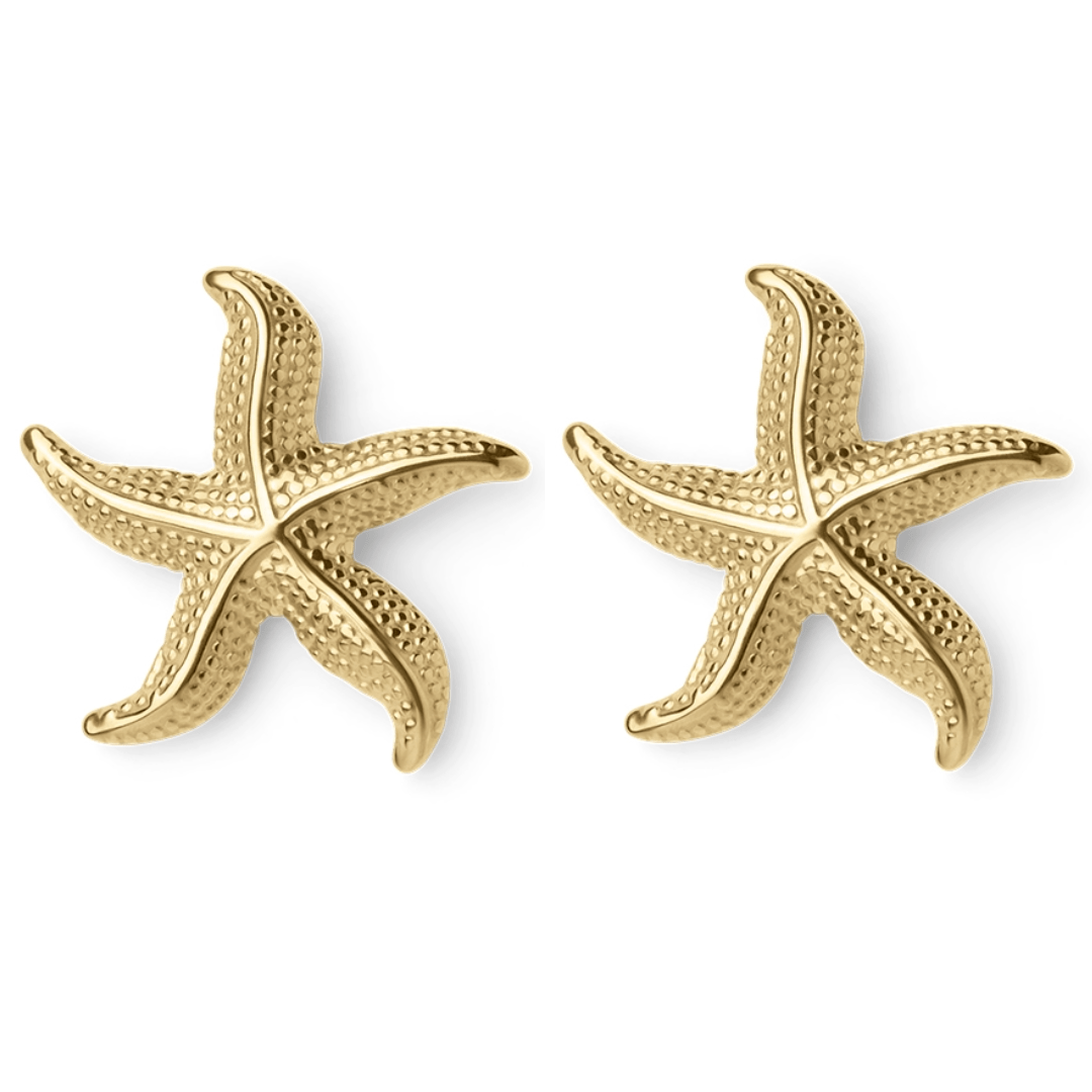 Briana - Boucles d'oreilles en forme d'étoile de mer
