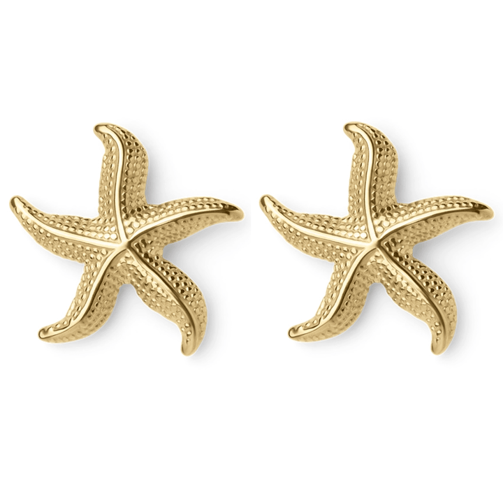 Briana - Boucles d'oreilles en forme d'étoile de mer