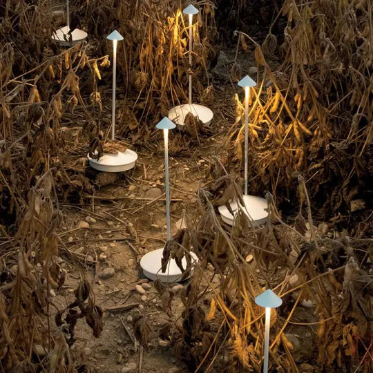 Bezprzewodowa lampa stołowa LED | ClarityGlow - nowoczesne i ekologiczne oświetlenie